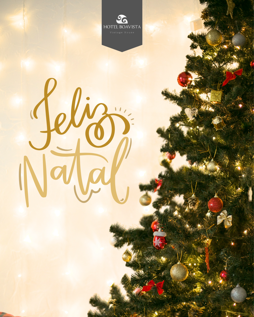 Pack Natal em Família